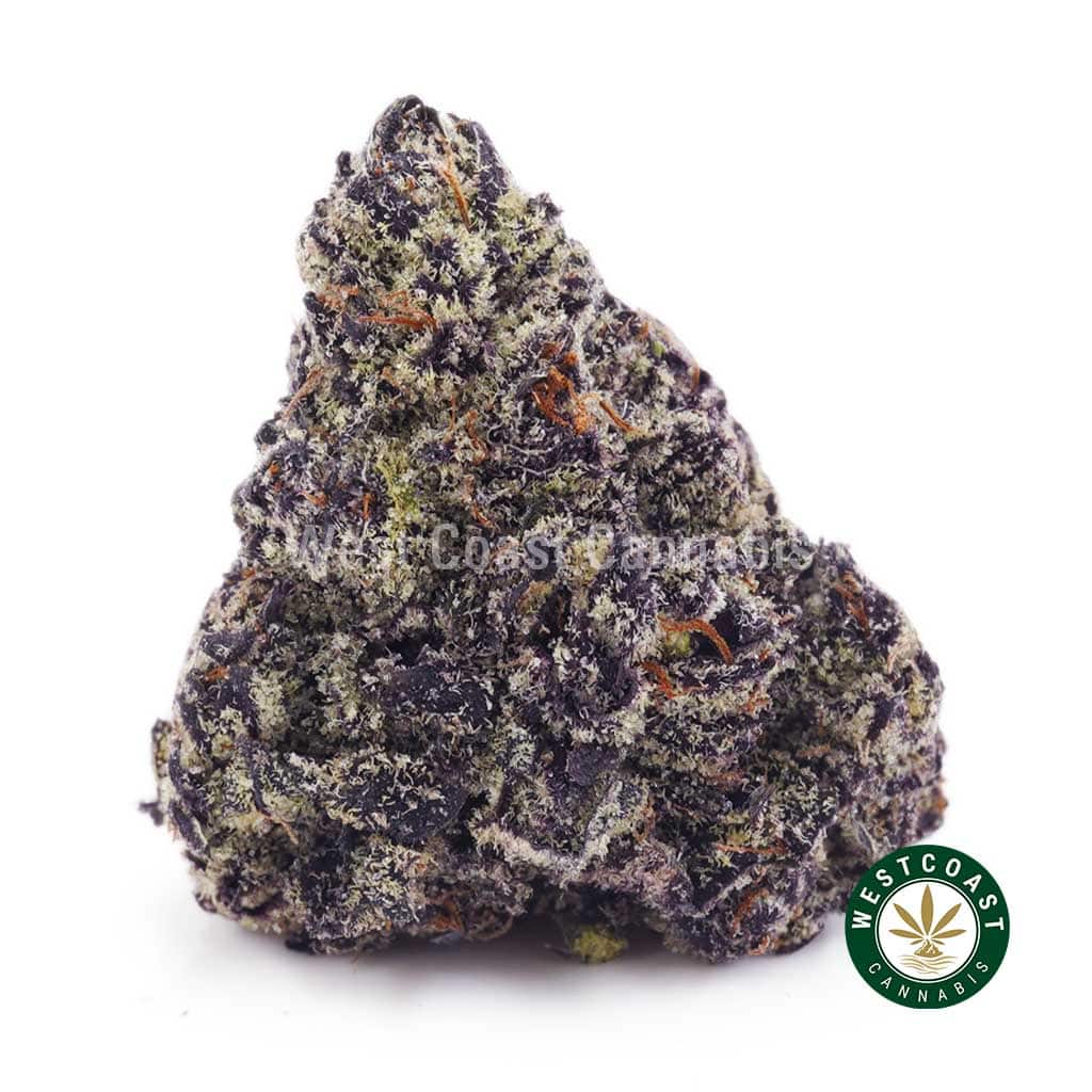 Purple Unicorn AAAA - Image 1