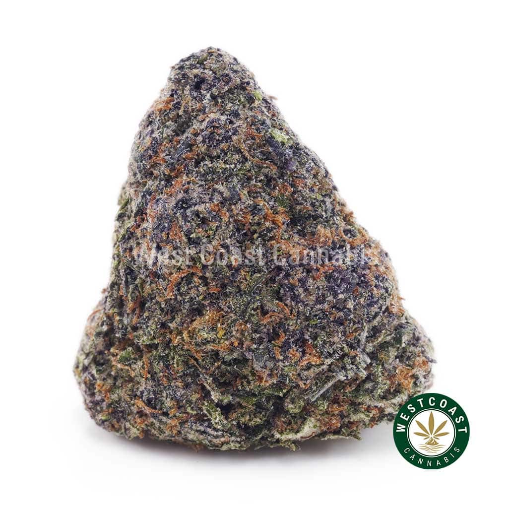 Purple Urkle AAA - Image 1
