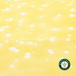 Premium Shatter – Blueberry Cheesecake (Sativa) - Image 3