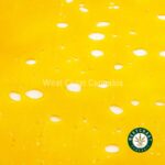 Premium Shatter – Monster Cookies (Indica) - Image 3
