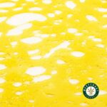 Premium Shatter – Scooby Snacks (Hybrid) - Image 3