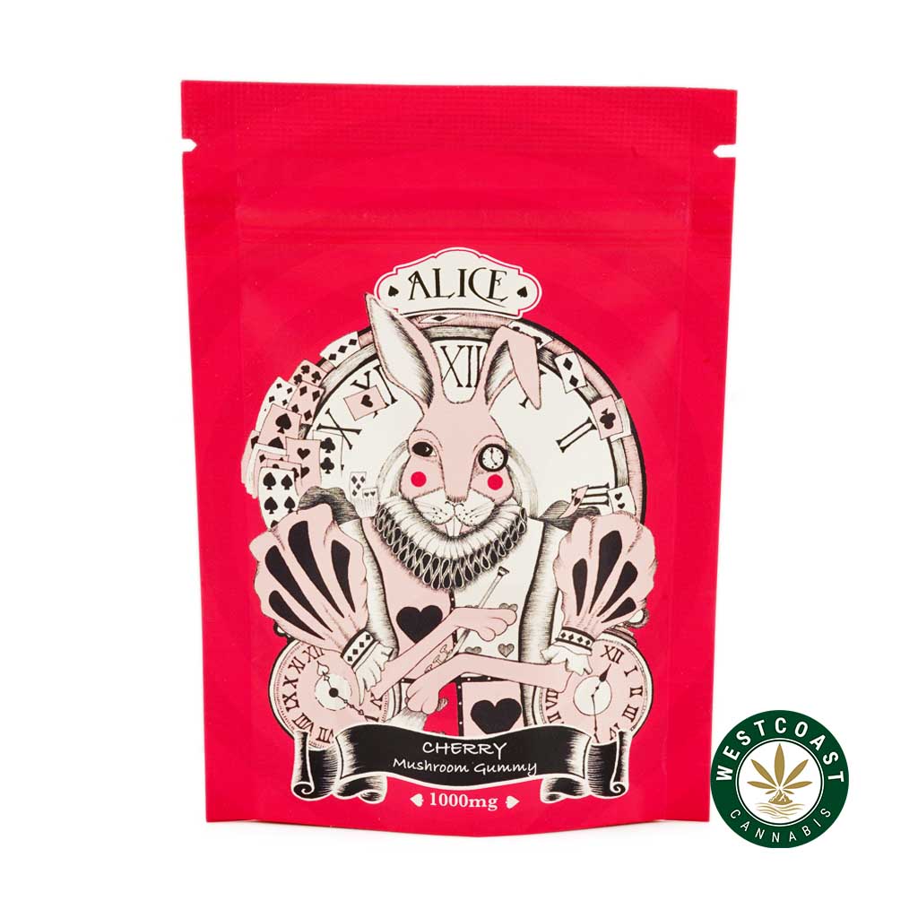 Alice Mushroom Gummy – Cherry 1000mg - Image 1