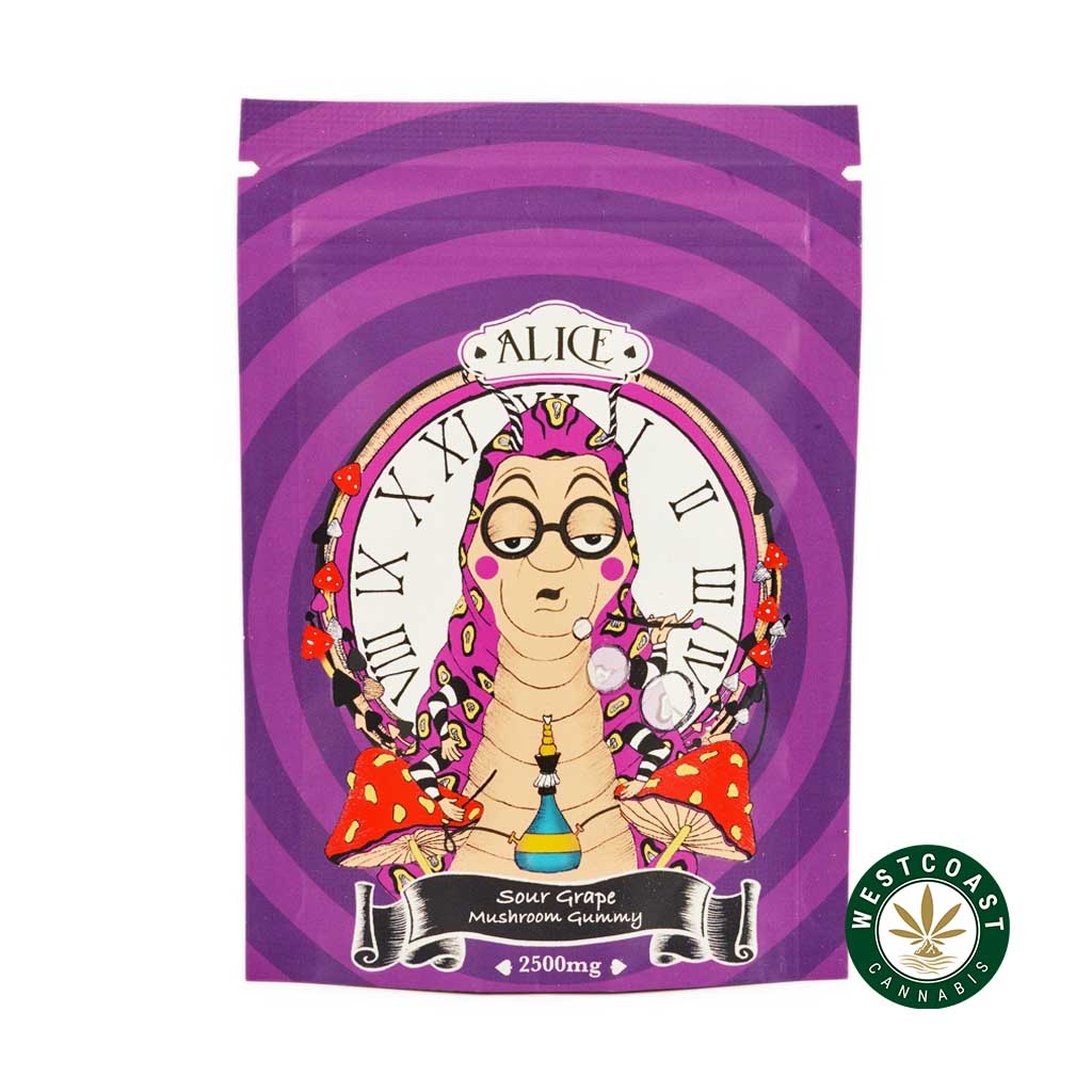 Alice Mushroom Gummy – Sour Grape 2500mg - Image 1