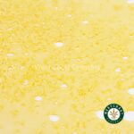 Premium Shatter – Dank Sinatra (Indica) - Image 3