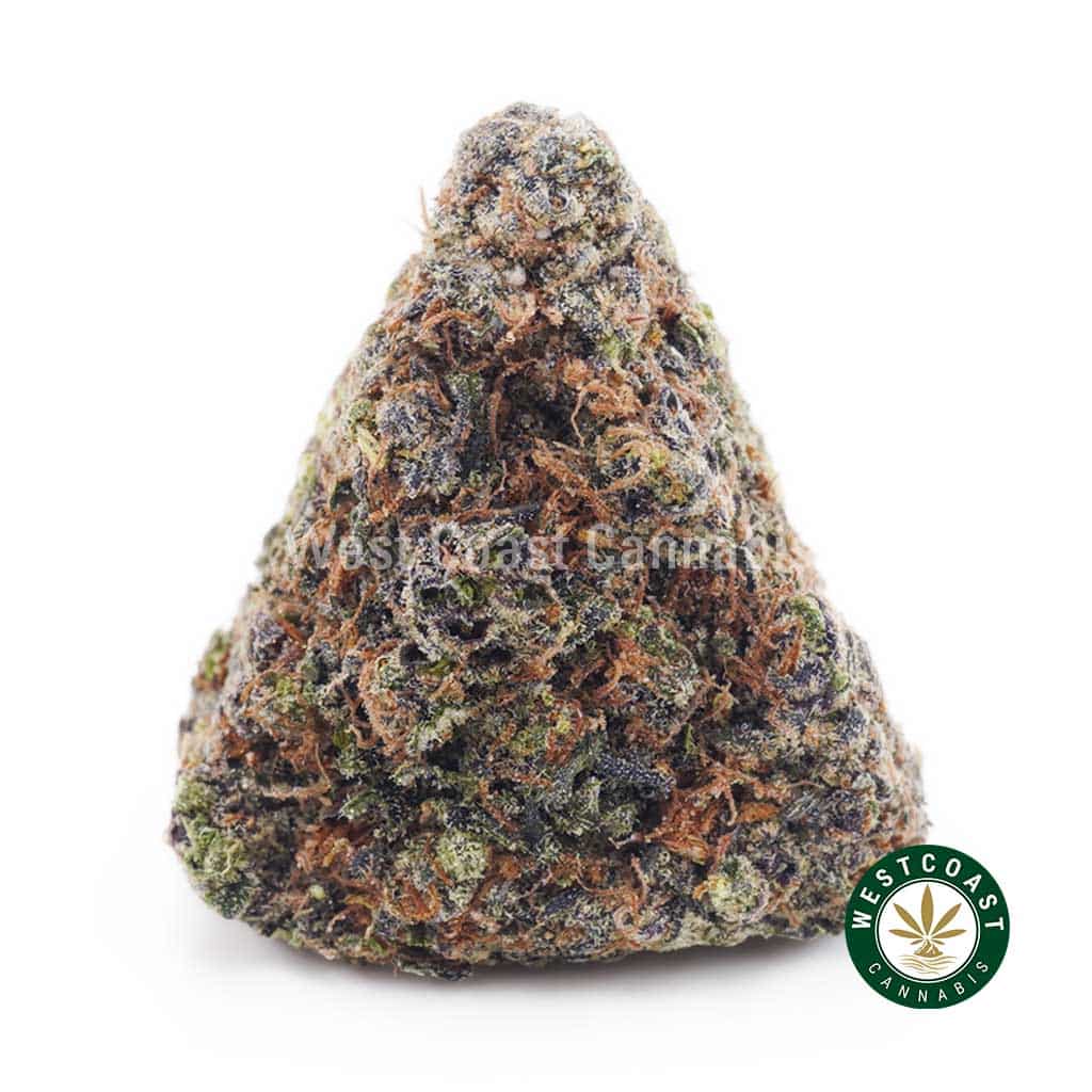 Rainbow Haze AAAA - Image 1