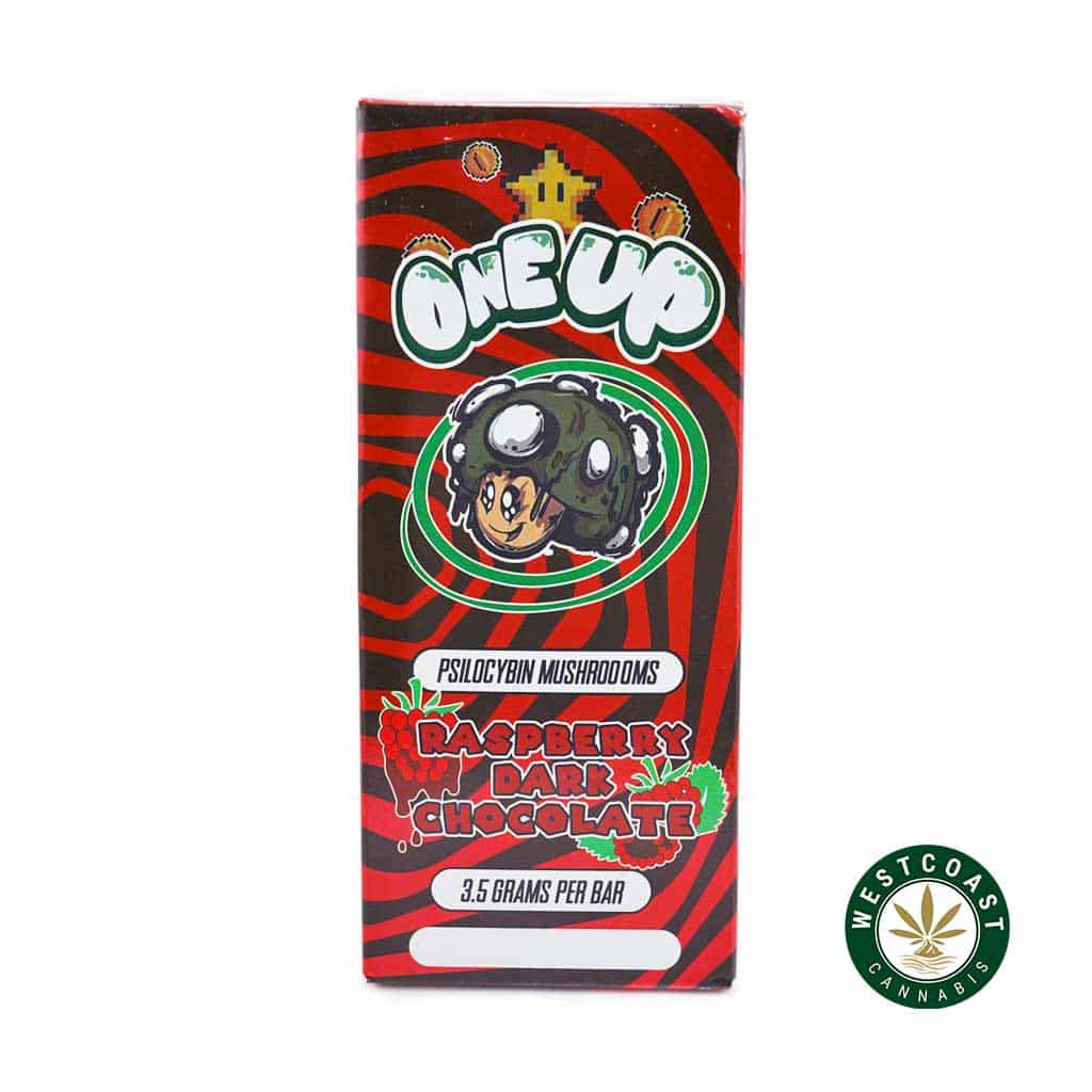 One Up – Psilocybin Mushrooms – Raspberry Dark Chocolate 3.5G - Image 1