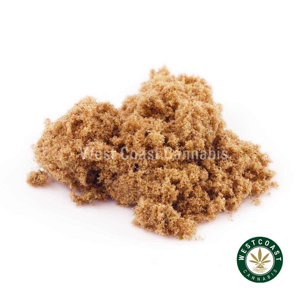 Kief – Daniel Larusso (Hybrid) - Image 1