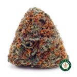 Shiva Skunk AA