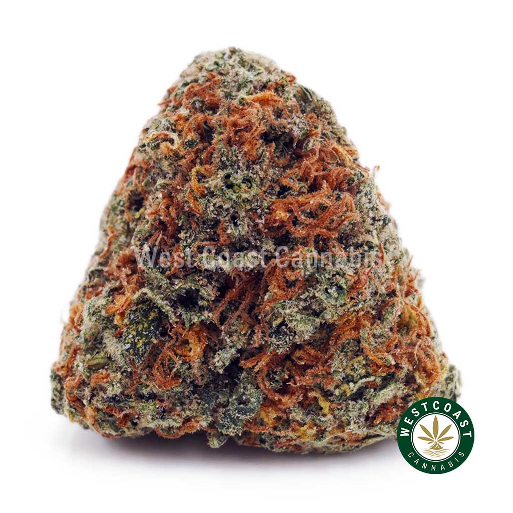 Shiva Skunk AA - Image 1