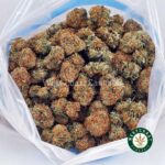 Shiva Skunk AA - Image 3