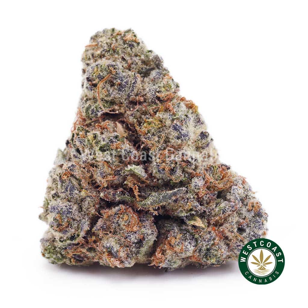 Slurricane AAA - Image 1