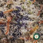 Slurricane AAA - Image 2