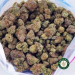 Snoop’s Dream AAAA - Image 3