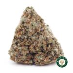 Strawberry Gelato AAA