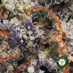 Supreme Death Bubba AAAA+ - Image 2