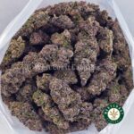 Tangerine Haze AAAA - Image 3