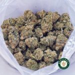 Tangie Jack AA - Image 3