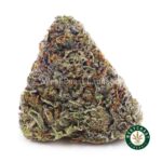 Tom Ford Pink Kush AAAA+