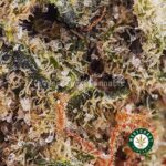 Girl Scout Cookies (GSC) AAA - Image 2