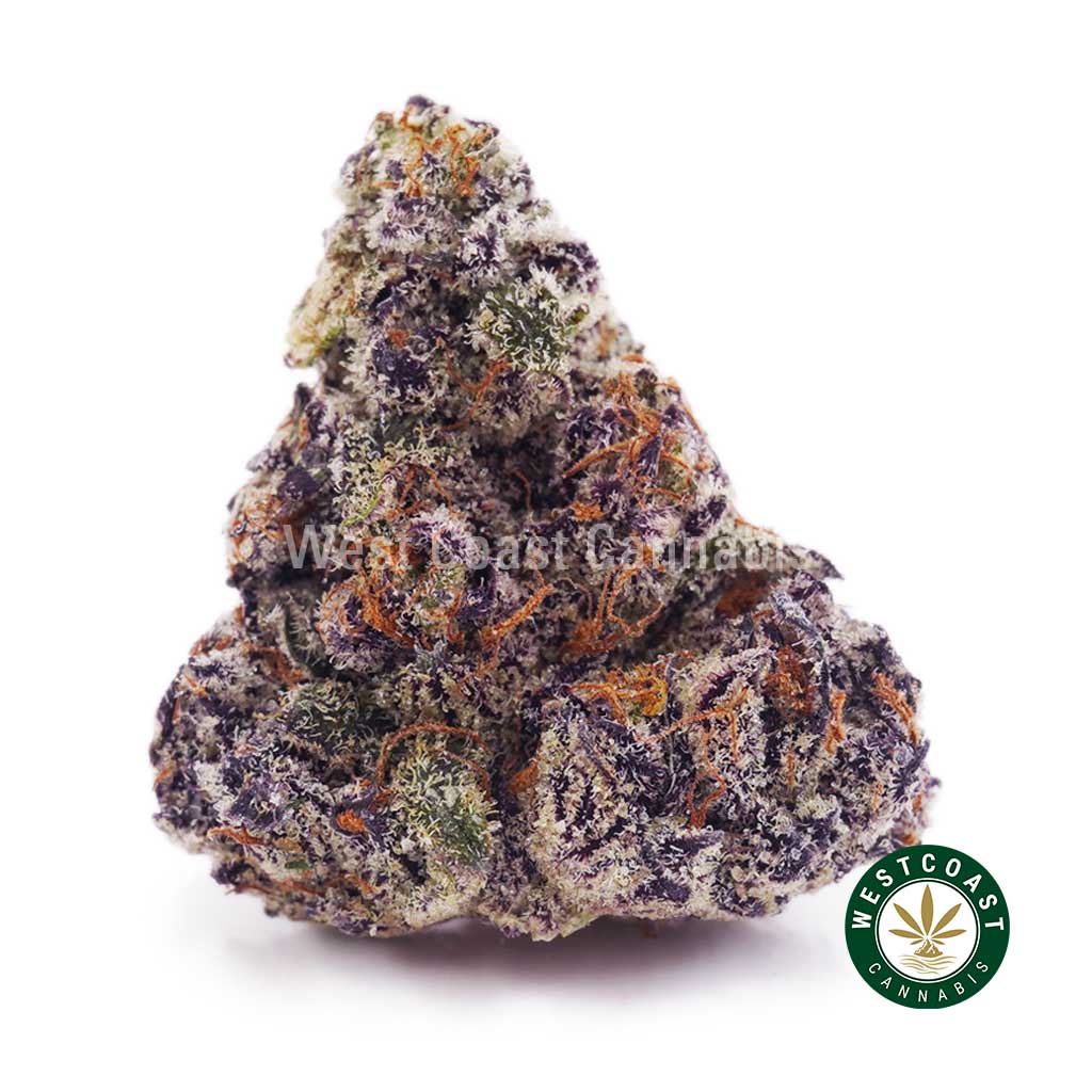 Vanilla Ice AAAA+ - Image 1