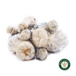 Shrooms – Leucistic SV 13 - Image 2