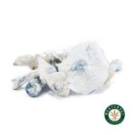 Shrooms – Albino Jedi Mindfuck - Image 2