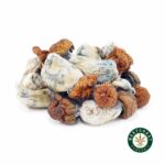Shrooms – Blue Pulaski - Image 2