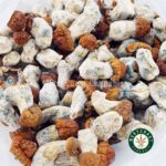Shrooms – Blue Pulaski - Image 3