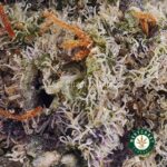 White Fire OG AAA - Image 2