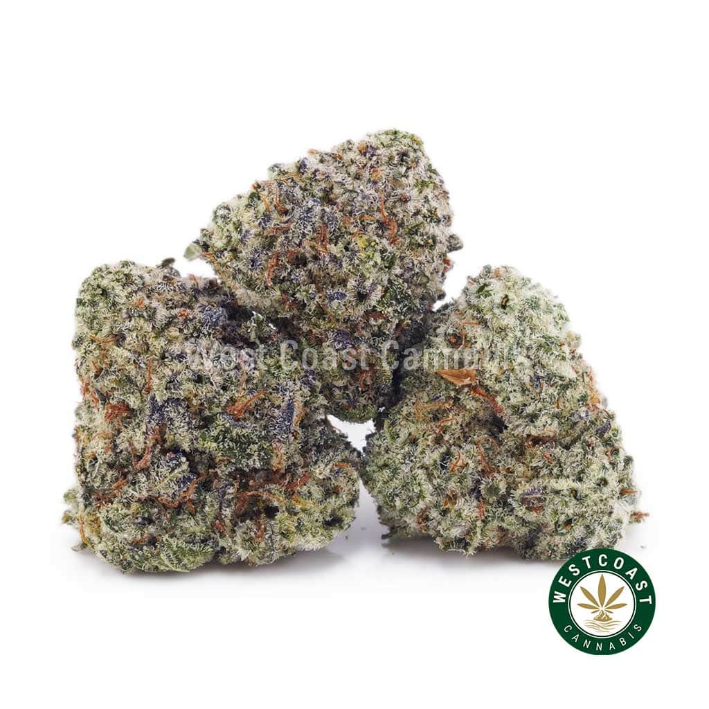 White Tahoe Cookies AAAA (Popcorn Nugs) - Image 1
