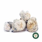 Shrooms – Albino Makilla