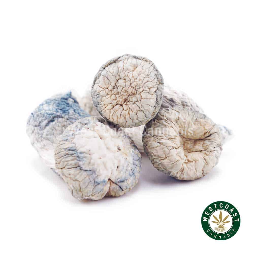 Shrooms – Albino Penis Envy - Image 1