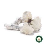 Shrooms – Albino Extra Terrestrial
