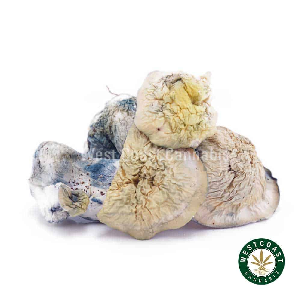 Shrooms Exotic – Flipper - Image 1