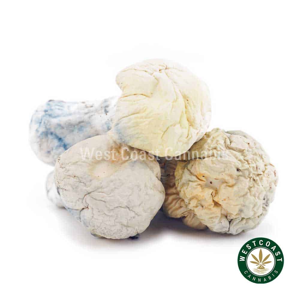 Shrooms Exotic – Iceberg - Image 1