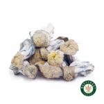 Shrooms Exotic – Flipper - Image 2