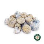 Shrooms Exotic – Iceberg - Image 2