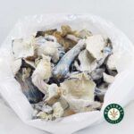 Shrooms – Albino Teacher - Image 3