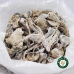 Shrooms – Albino Extra Terrestrial - Image 3