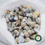 Shrooms Exotic – Iceberg - Image 3