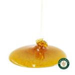 Honey Oil – Gusher (Indica)