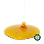 Honey Oil – Fruit Rollup (Indica)