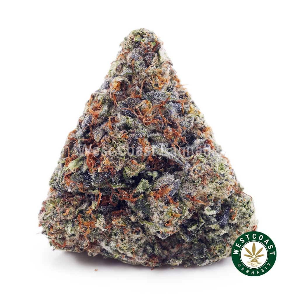 El Chapo AAAA - Image 1