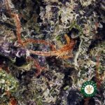 Platinum Bubba Kush AAA - Image 2