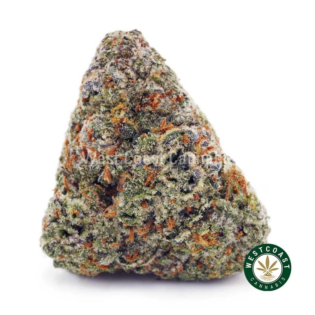 Blue Widow AAAA - Image 1