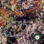 Strawberry Shortcake AAAA (Popcorn Nugs) - Image 2