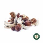 Shrooms – Penis Envy #6 - Image 2