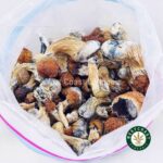 Shrooms – Makilla Gorilla - Image 3