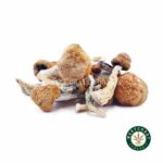 Shrooms – Blue Meanie - Image 2