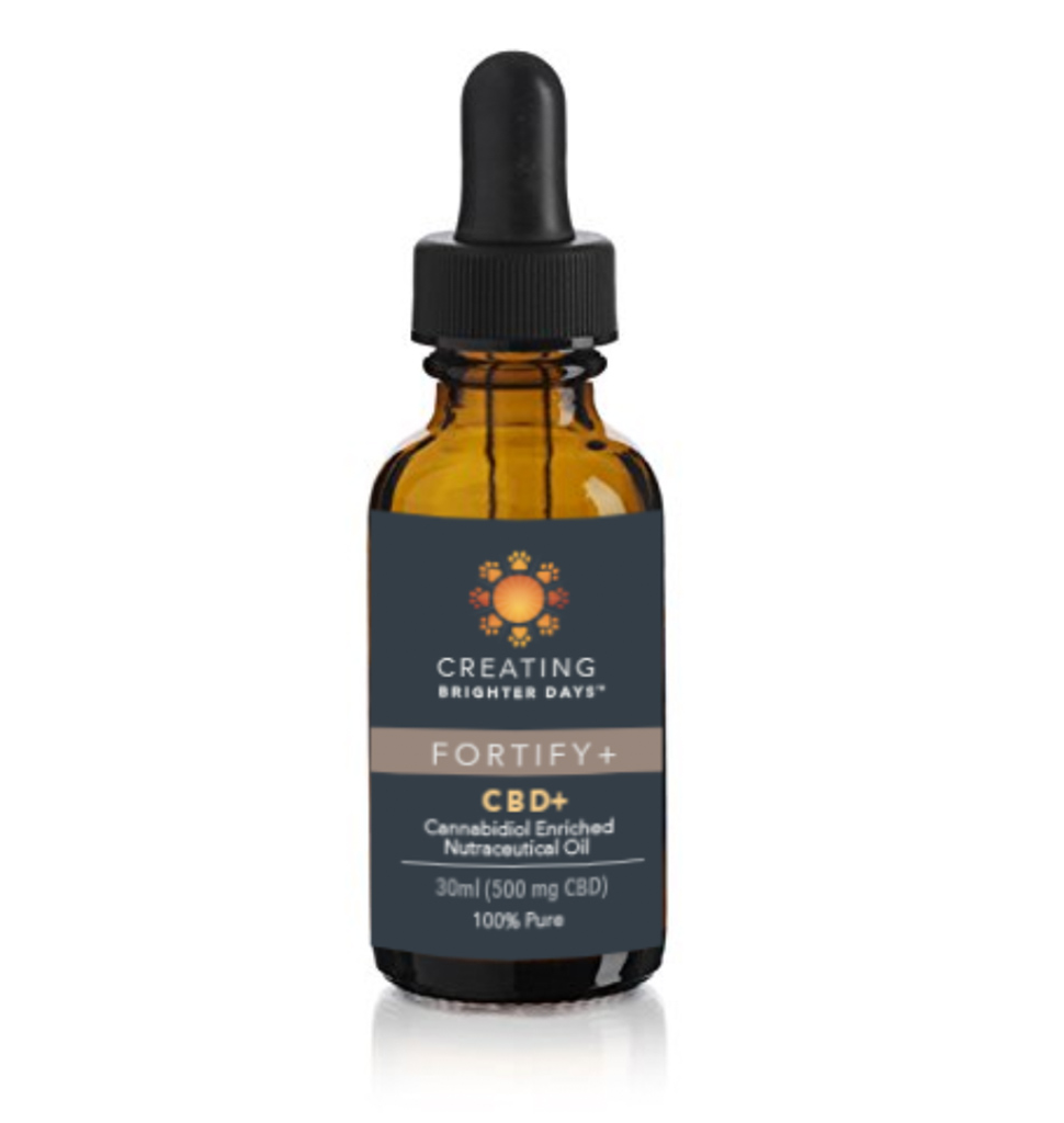 Fortify Plus Nutraceutical Pet Oil (500mg) - Image 1